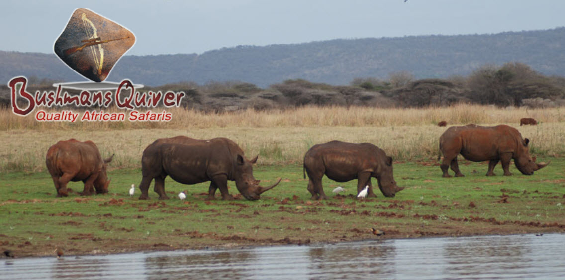 April 21: Bushmans Quiver South Africa Photo Safari – Discount Fishing Tackle – D&D Tire Service