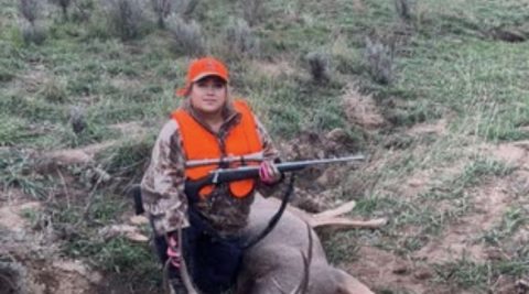 Colorado-Mule Deer