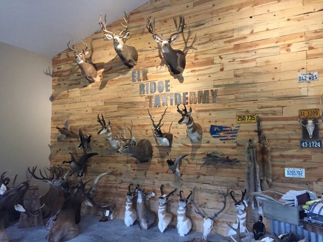 September 4, 2021: B&B RV – Elk Ridge Taxidermy