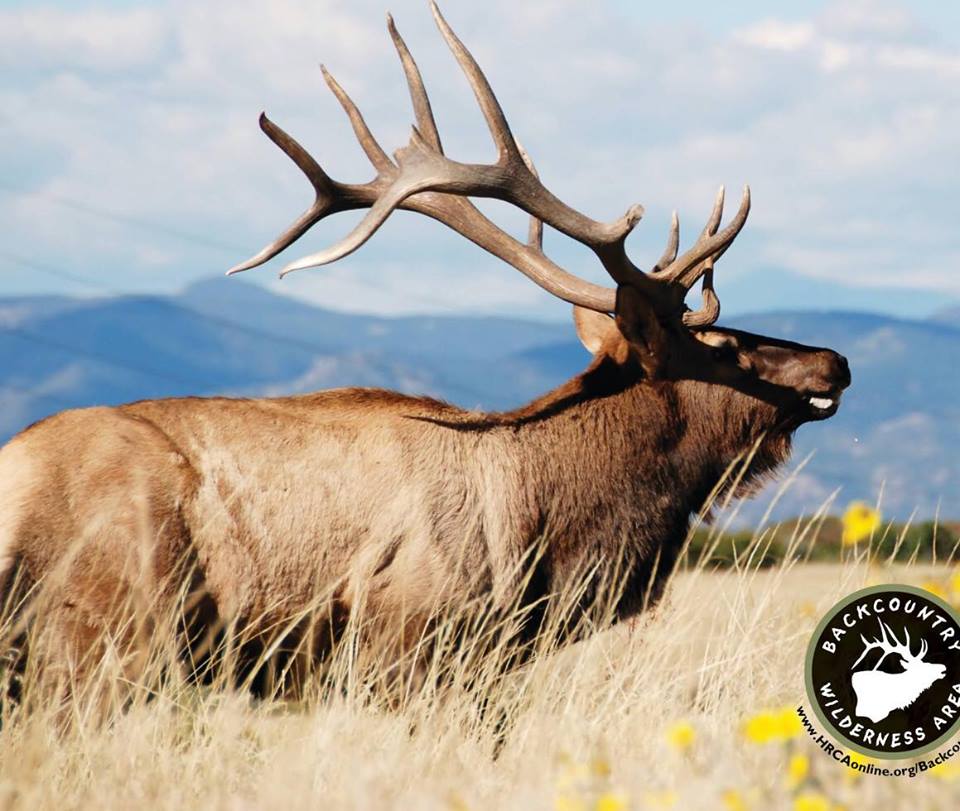 June 2: HRCA Backcountry – Discount Fishing Tackle – Phoenix Weaponry