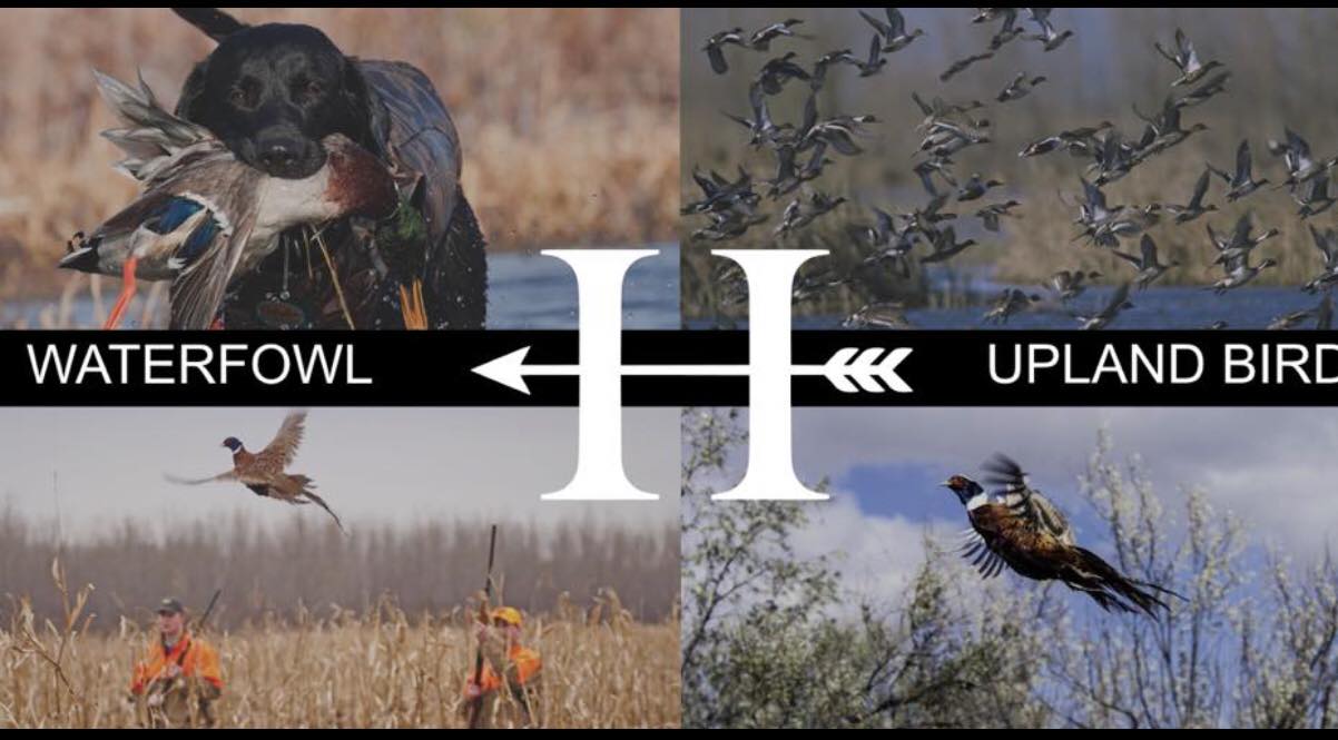 October 7: Phoenix Weaponry – Haven Sporting Club – Game Drag System