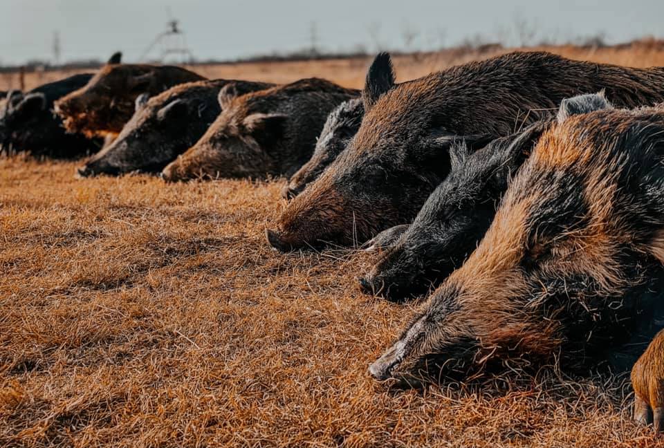 October 16, 2021: Green Mountain Guns – Lone Star Hunts – Len Lyall Chevrolet