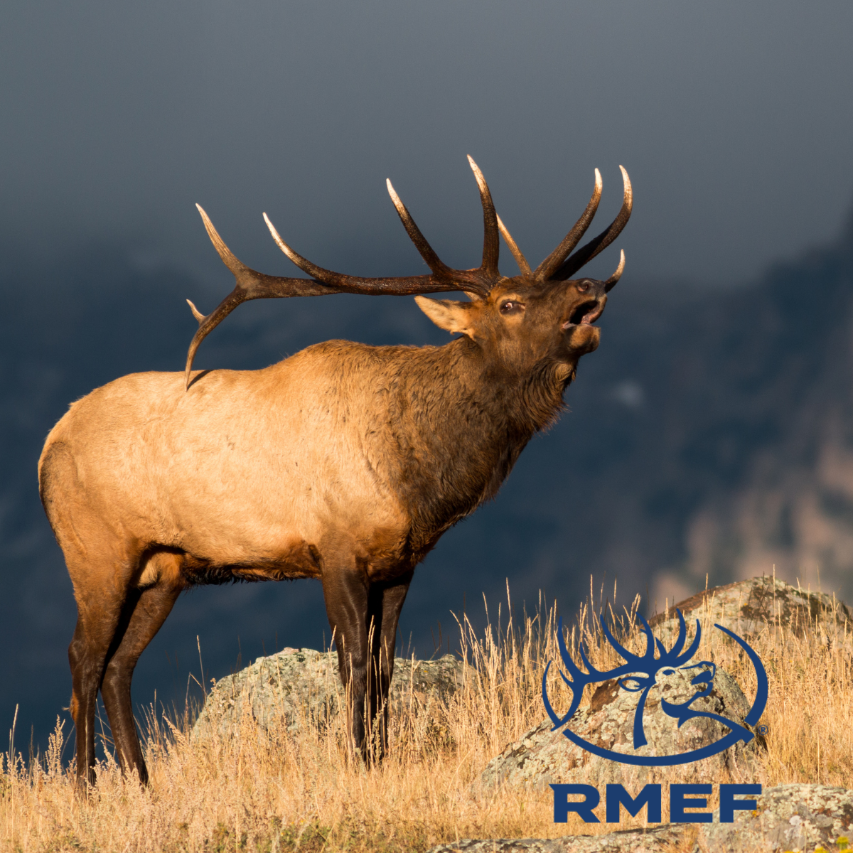 July 10, 2021: Discount Fishing Tackle – Outdoor Buddies – Quick Draw Archery – RMEF Annual Banquet Aug. 28, 2021
