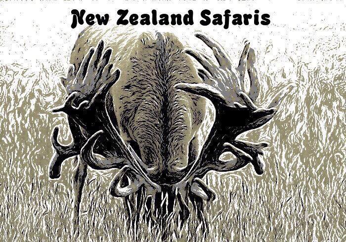 December 31: New Zealand Safaris & Rampart Firearms